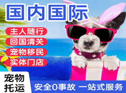 宁远航空邮寄国际宠物托运 【国